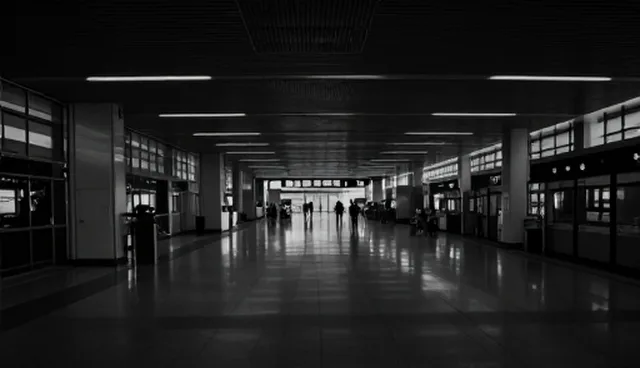 业务发展趋势：视频策划如何助力内容分发